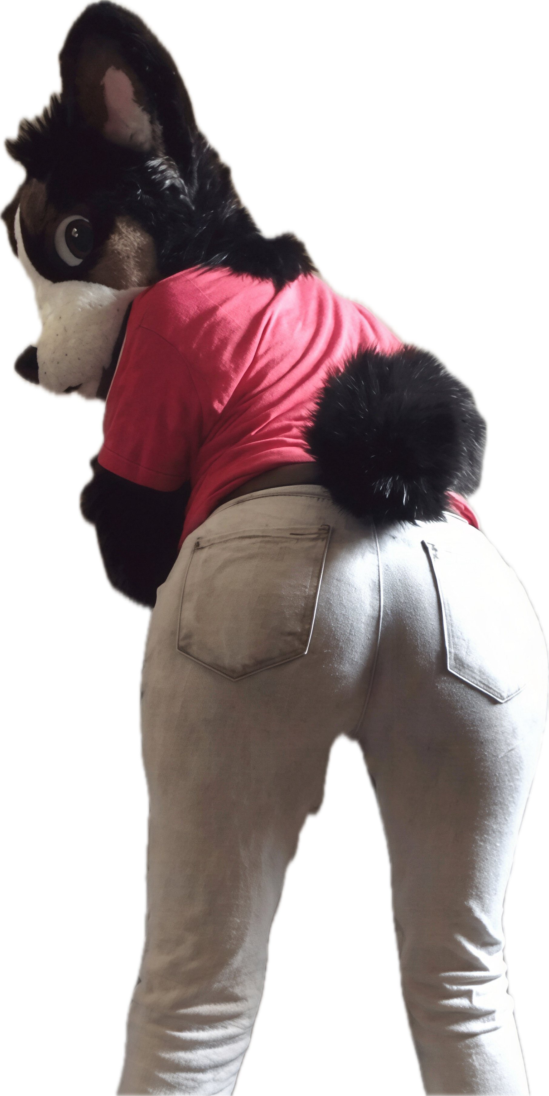 Enhanced photo of Willowcorgo