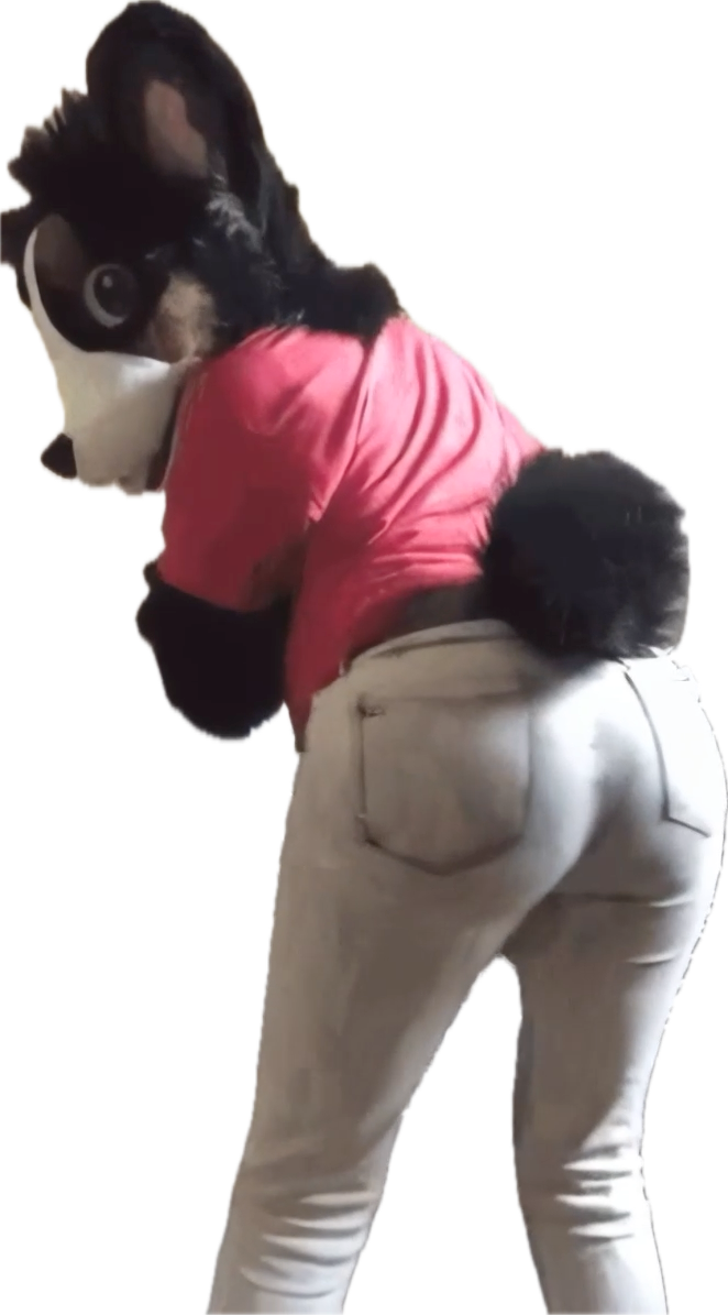 Willowcorgo fursuit
